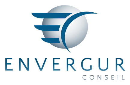 logo evergurconseil